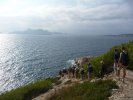 Les accompagnants en randonnée dans les Calanques